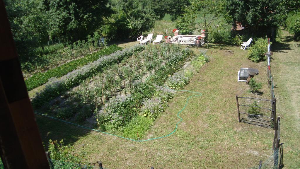 Agriturismo Il Casalone Badia Tedalda Kültér fotó